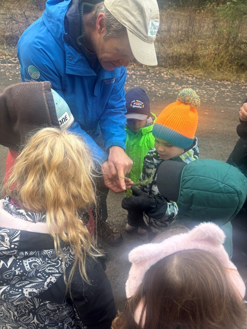 Learning more about trees1 Sari Small