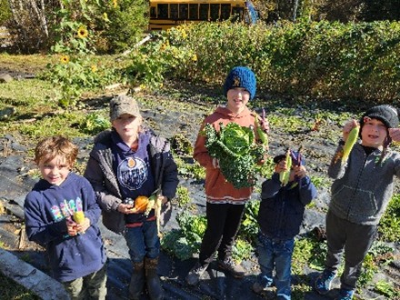 BL Garden Harvest Sari Small